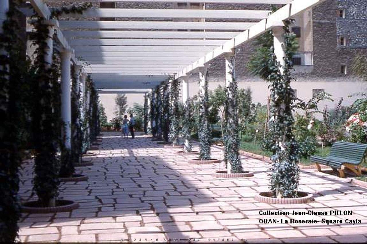 ORAN SQUARE CAYLA .jpg
